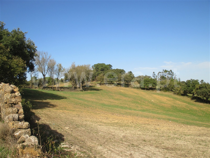 Terreno Misto  Loures, Lousa - 1200514 - 7