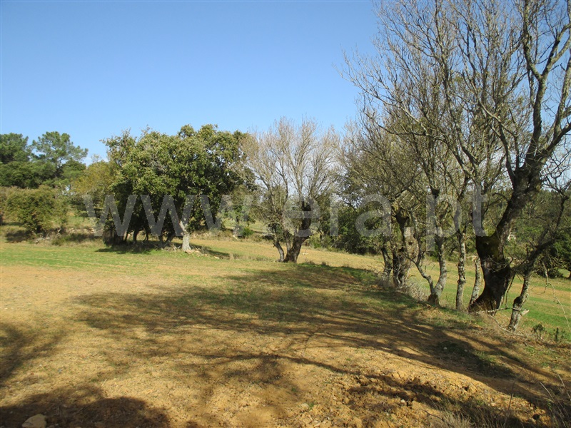 Terreno Misto  Loures, Lousa - 1200514 - 10