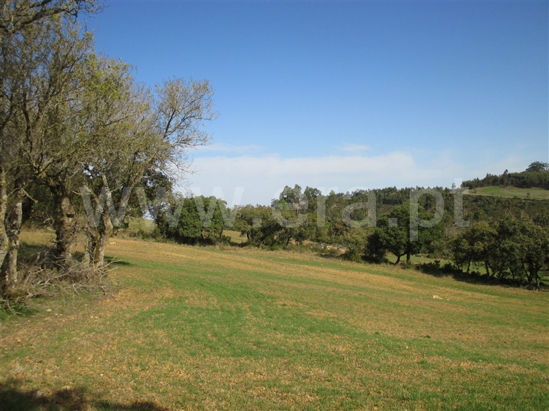 Terreno Misto  Loures, Lousa - 1200514 - 11