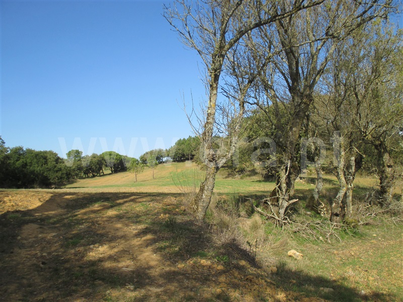Terreno Misto  Loures, Lousa - 1200514 - 12