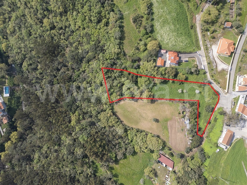 Terreno Misto / Mafra, Choutaria
