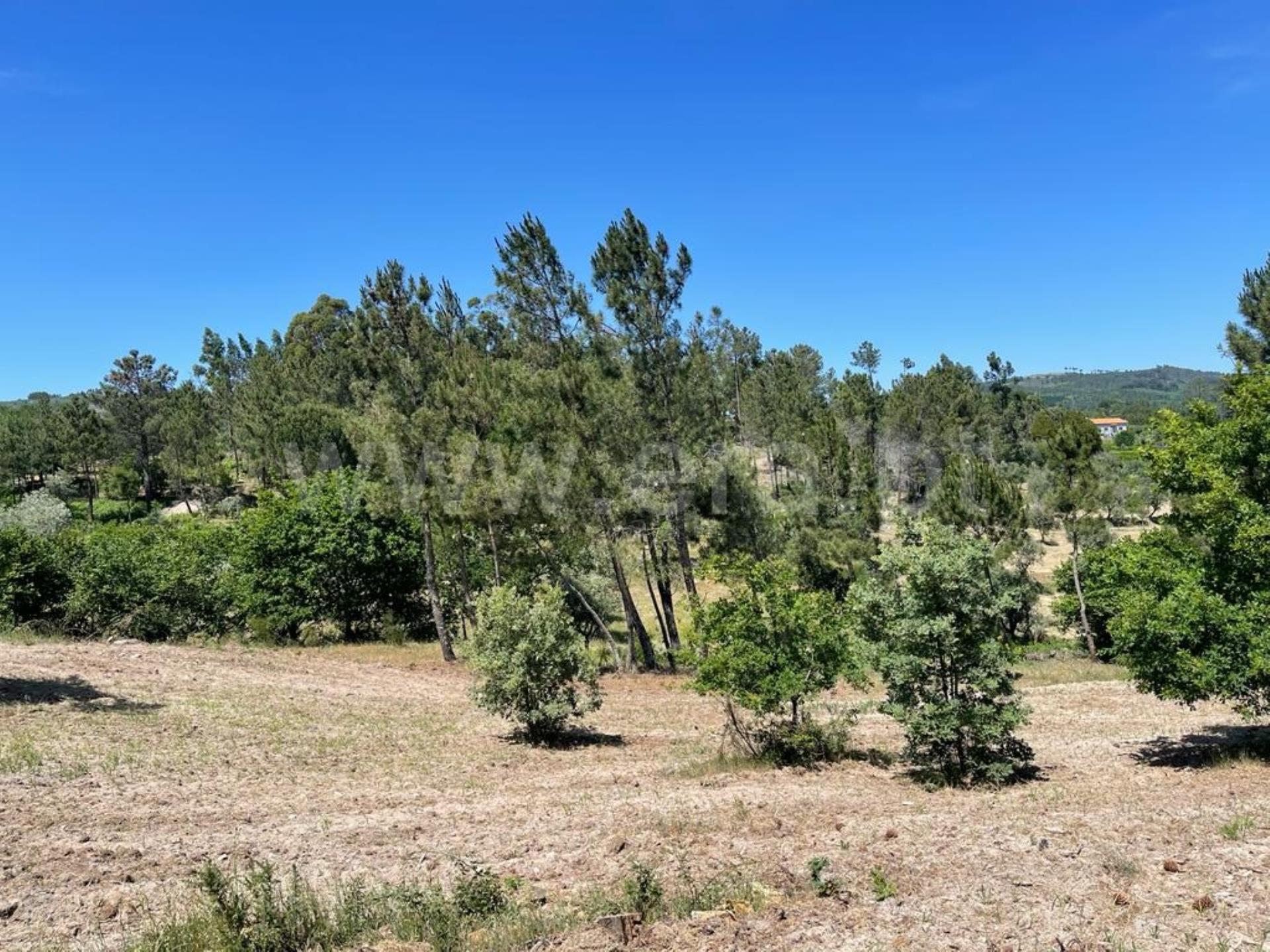 Land for sale in Mangualde, Portugal — €775,000