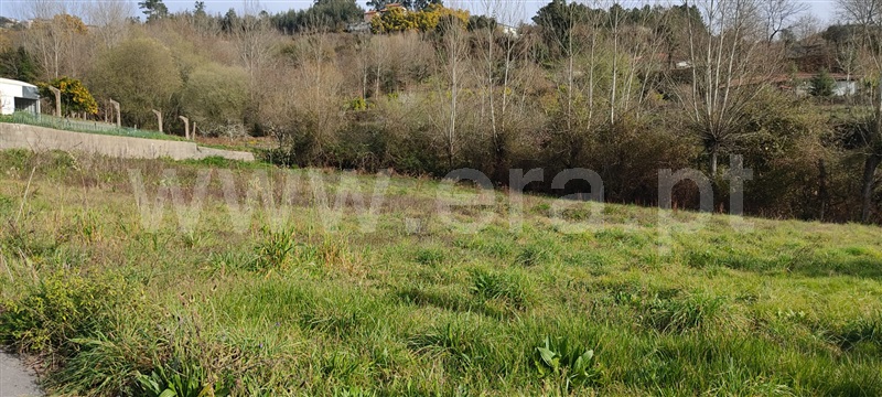 Terreno Misto / Marco de Canaveses, Sande e São Lourenço