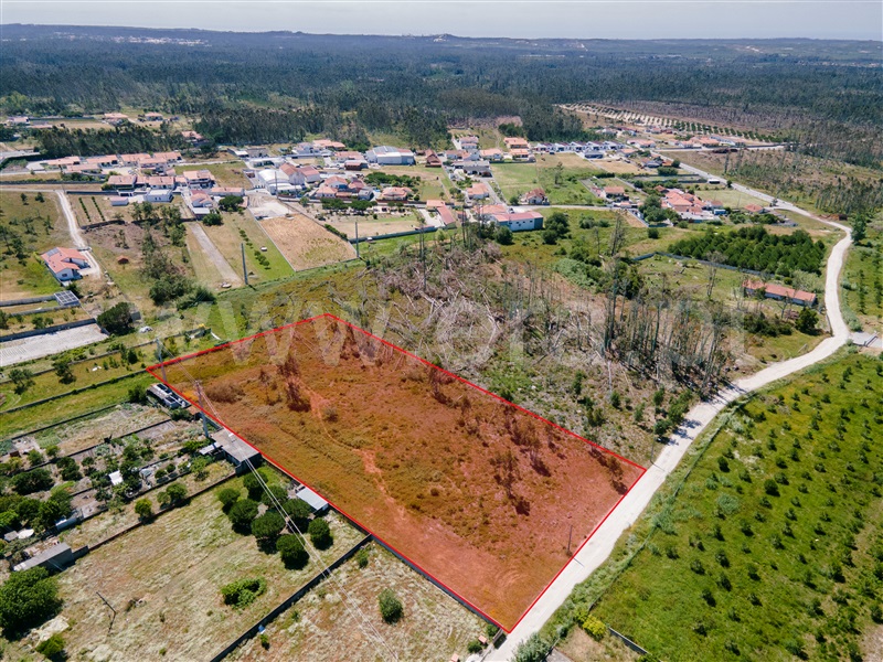 Terreno Misto / Marinha Grande, Moita
