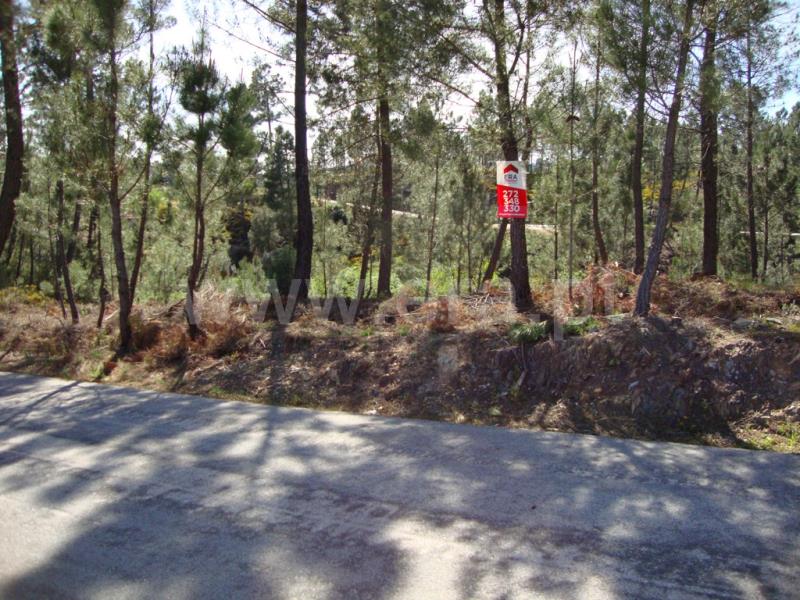 Terreno Misto / Oleiros, Oleiros