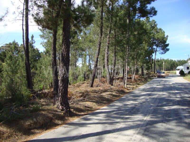 Terreno Misto  Oleiros, Oleiros - 649119 - 3