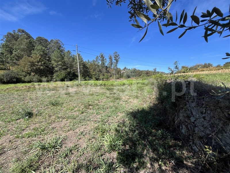 Terreno Misto  com Urbano Oliveira de Azeméis, Ossela - 1500746 - 5