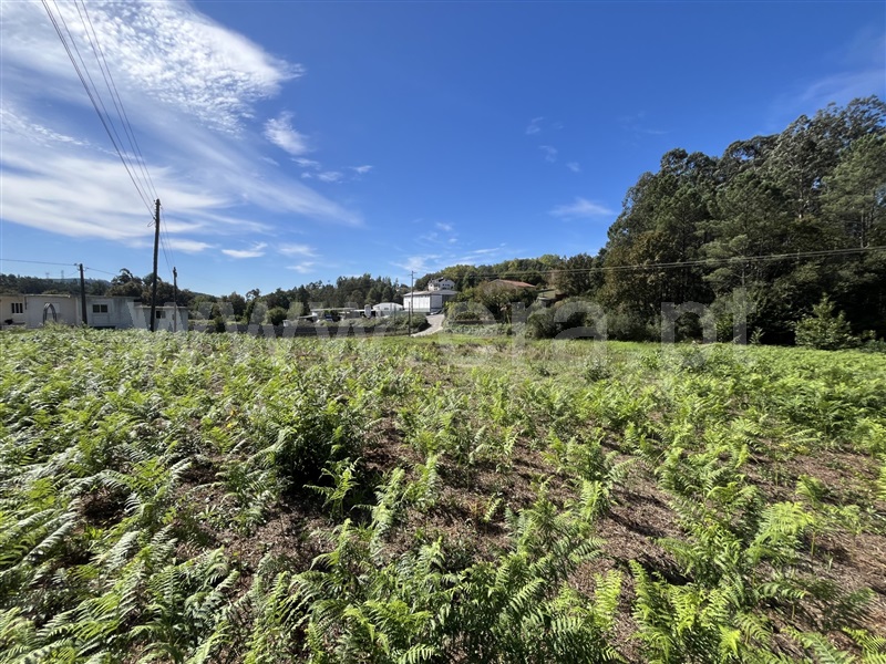 Terreno Misto  com Urbano Oliveira de Azeméis, Ossela - 1500746 - 8
