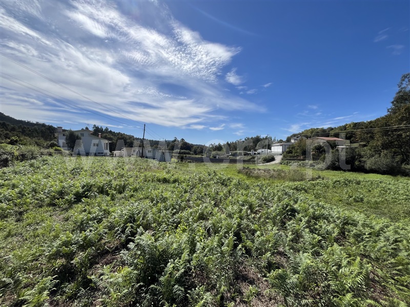 Terreno Misto / Oliveira de Azeméis, Ossela