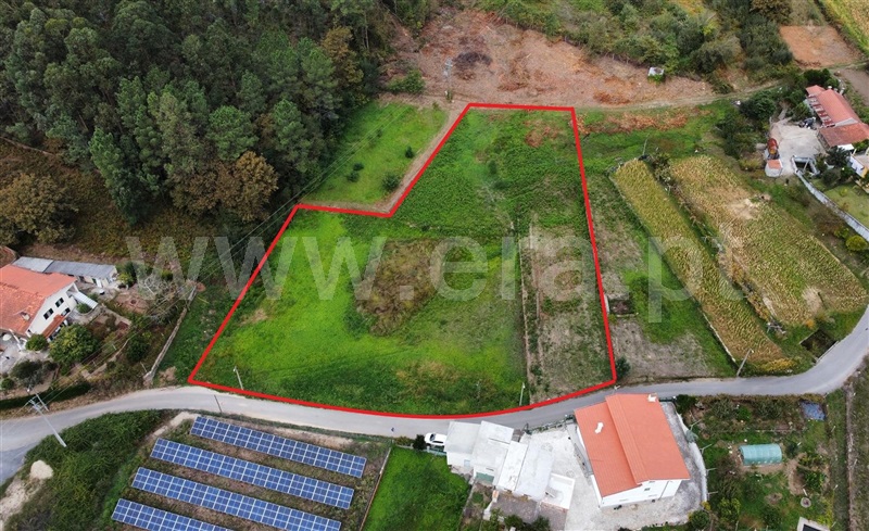 Terreno Misto / Oliveira de Azeméis, Ossela