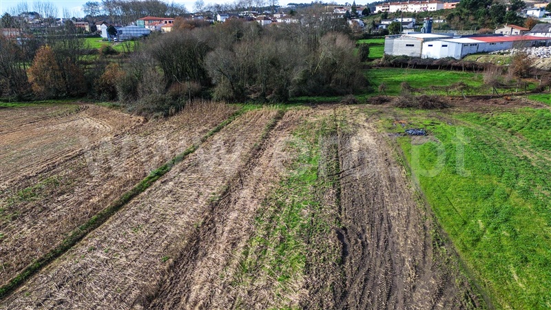 Terreno Misto  Paços de Ferreira, Penamaior - 1453654 - 6