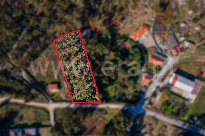 Terreno Misto / Paços de Ferreira, Sanfins Lamoso Codessos