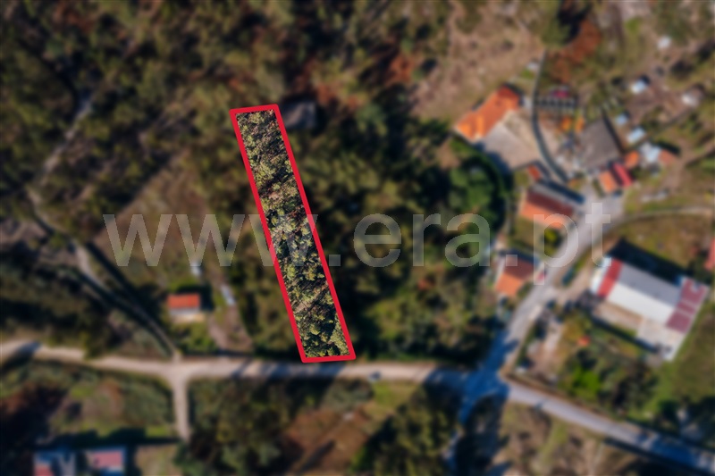 Terreno Misto / Paços de Ferreira, Sanfins Lamoso Codessos