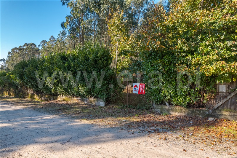 Terreno Misto  com Urbano Paços de Ferreira, Sanfins Lamoso Codessos - 1436553 - 5