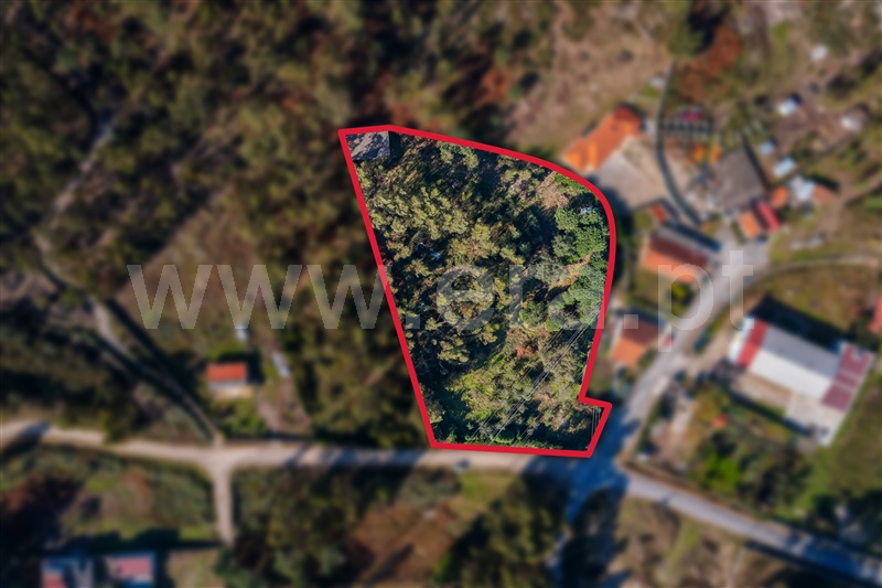 Terreno Misto / Paços de Ferreira, Sanfins Lamoso Codessos