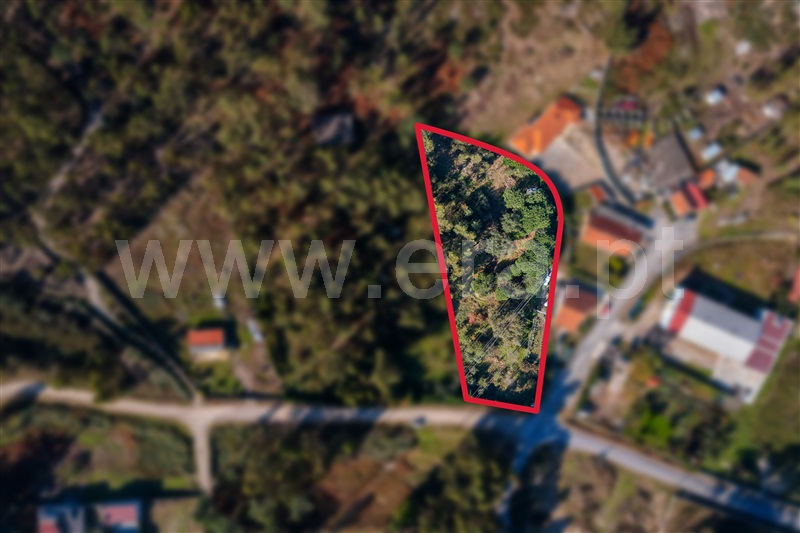 Terreno Misto / Paços de Ferreira, Sanfins Lamoso Codessos