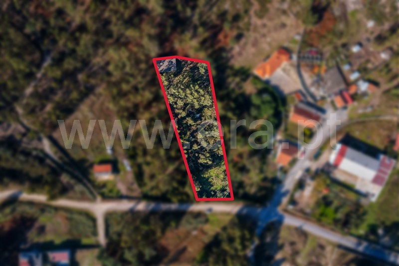 Terreno Misto / Paços de Ferreira, Sanfins Lamoso Codessos