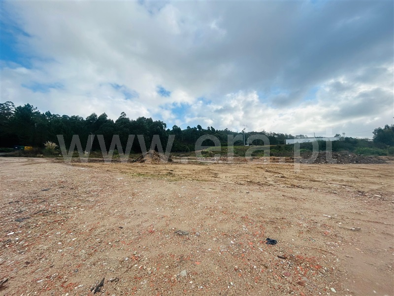 Terreno Misto / Paredes, Gandra