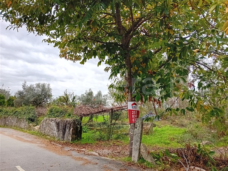 Terreno Misto / Ponte de Lima, Ardegão, Freixo e Mato