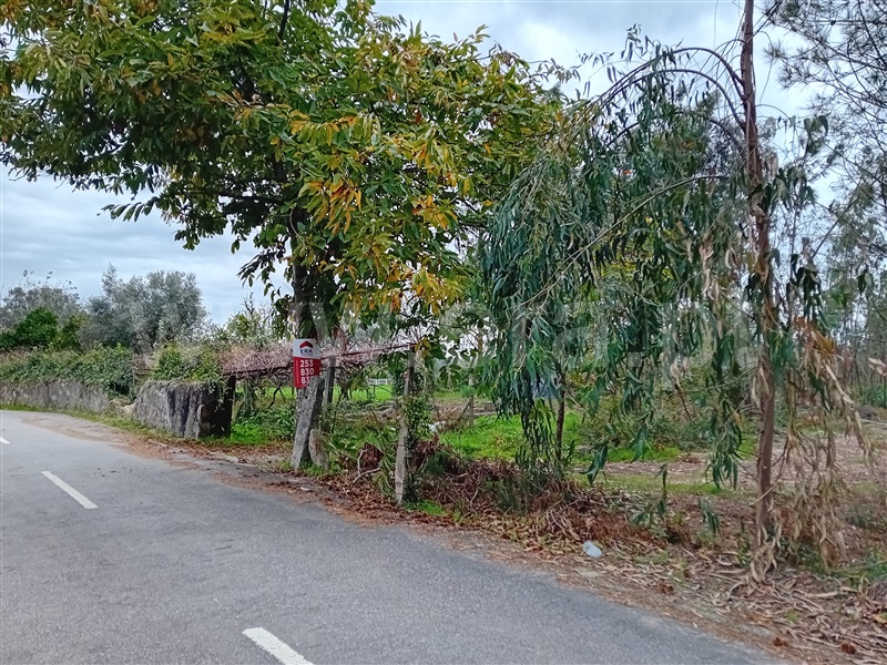 Terreno Misto  Ponte de Lima, Ardegão, Freixo e Mato - 1438332 - 3