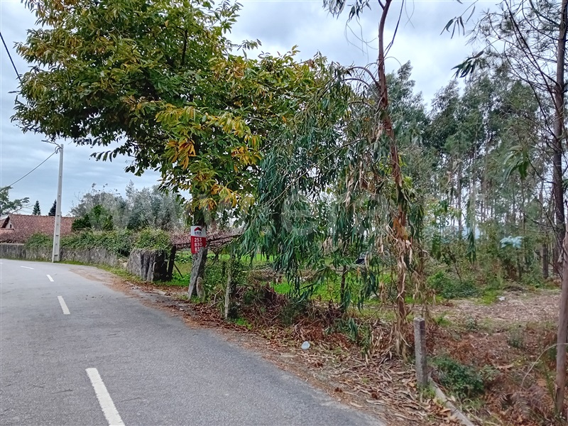 Terreno Misto  Ponte de Lima, Ardegão, Freixo e Mato - 1438332 - 4