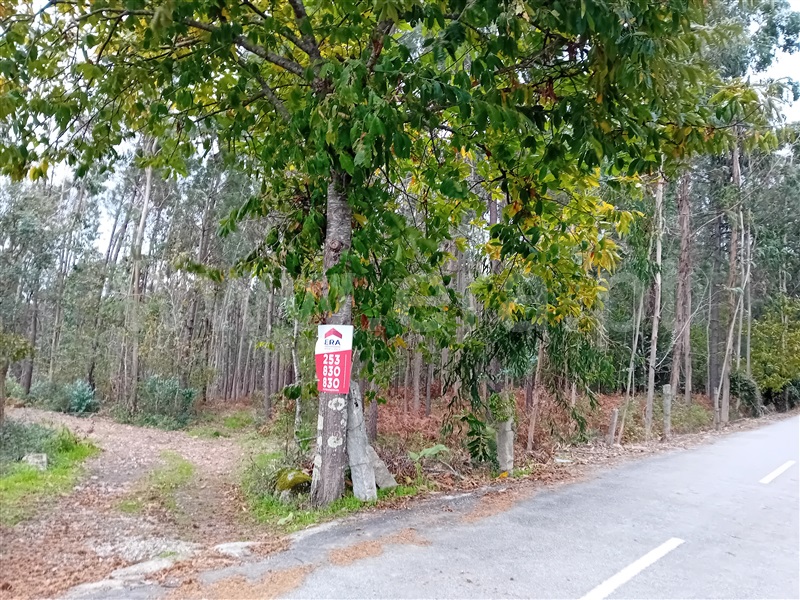 Terreno Misto  Ponte de Lima, Ardegão, Freixo e Mato - 1438332 - 5