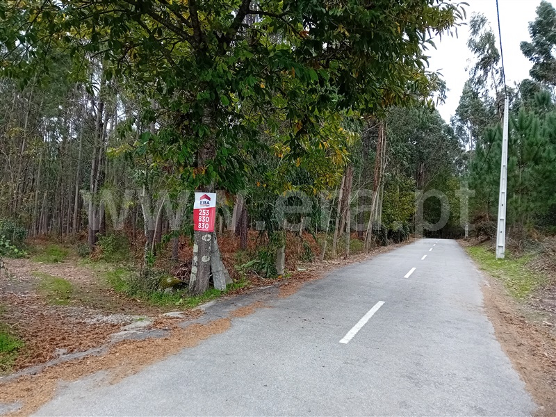 Terreno Misto  Ponte de Lima, Ardegão, Freixo e Mato - 1438332 - 6