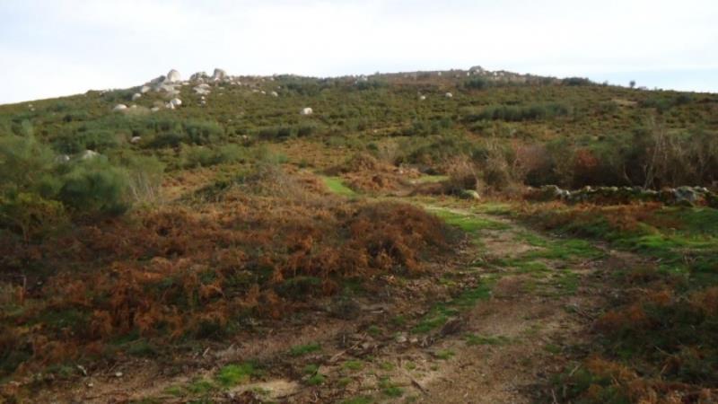 Terreno Misto / Ponte de Lima, Vilar do Monte