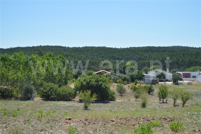 Terreno Misto  Rio Maior, Fráguas - 1361670 - 8