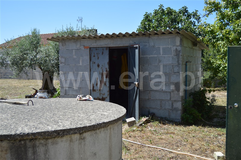 Terreno Misto  Rio Maior, Fráguas - 1361670 - 14