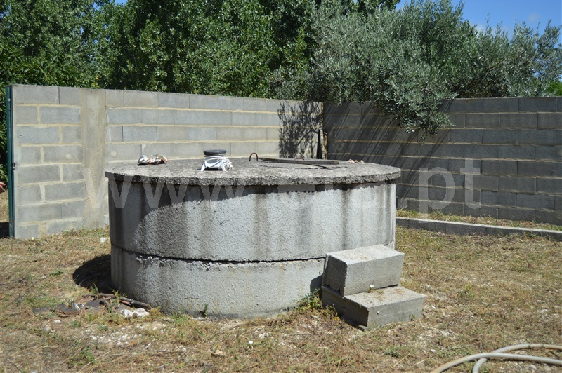 Terreno Misto  Rio Maior, Fráguas - 1361670 - 16