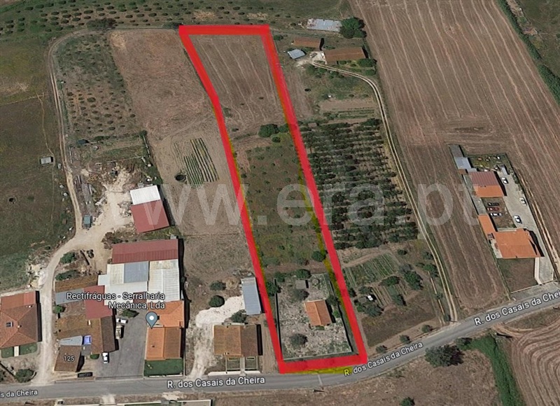 Terreno Misto  Rio Maior, Fráguas - 1361670 - 27