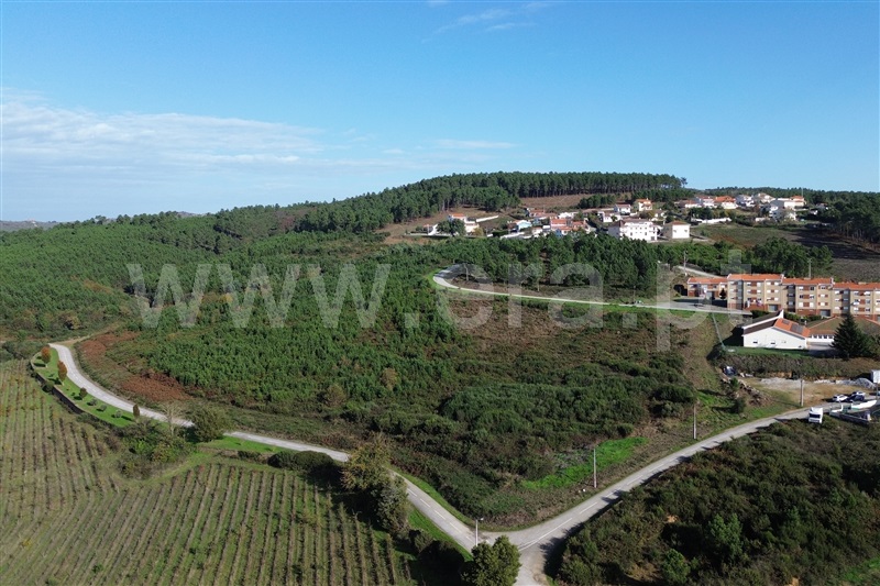 Terreno Misto / Sabrosa, São Martinho de Antas e Paradela de Guiães