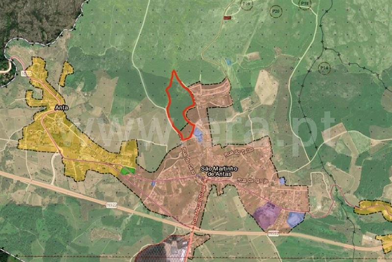 Terreno Misto  Sabrosa, São Martinho de Antas e Paradela de Guiães - 1444918 - 13