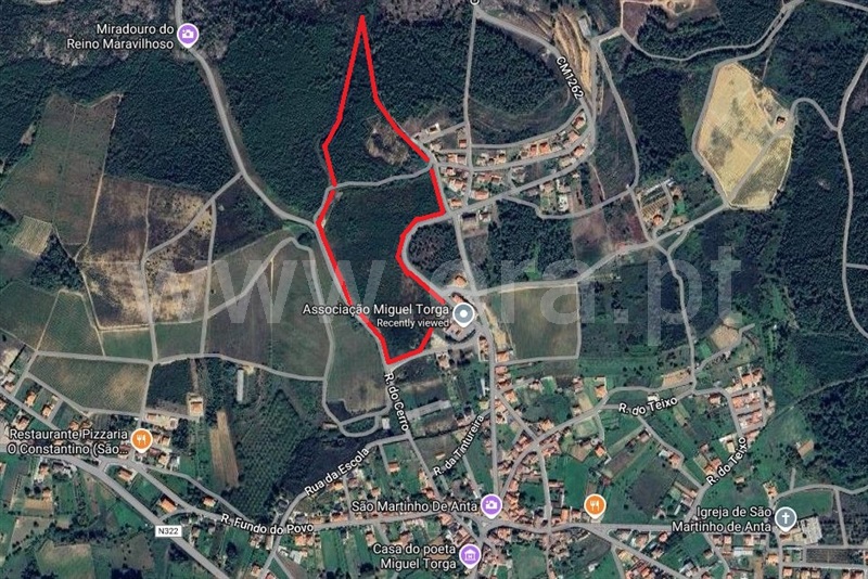 Terreno Misto  Sabrosa, São Martinho de Antas e Paradela de Guiães - 1444918 - 14