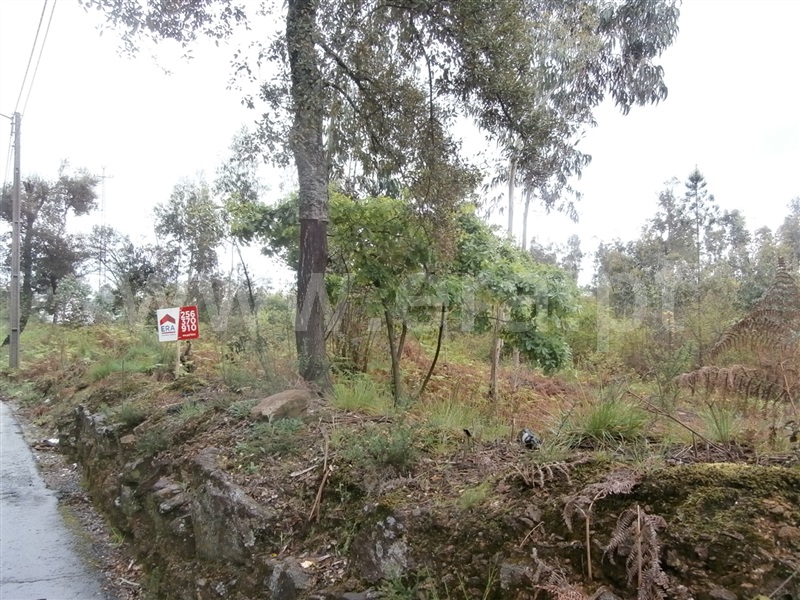 Terreno Misto  Santa Maria da Feira, Caldas S. Jorge / Guisande - 992720 - 2