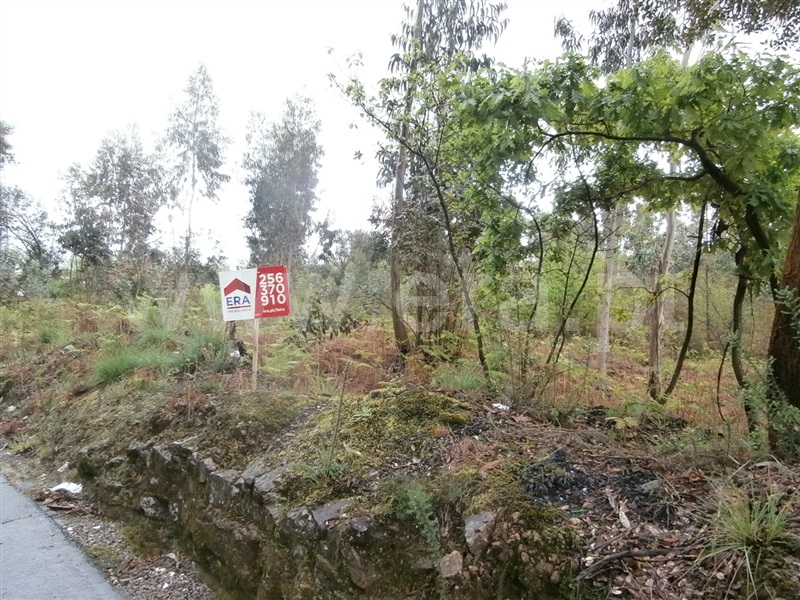 Terreno Misto / Santa Maria da Feira, Caldas S. Jorge / Guisande