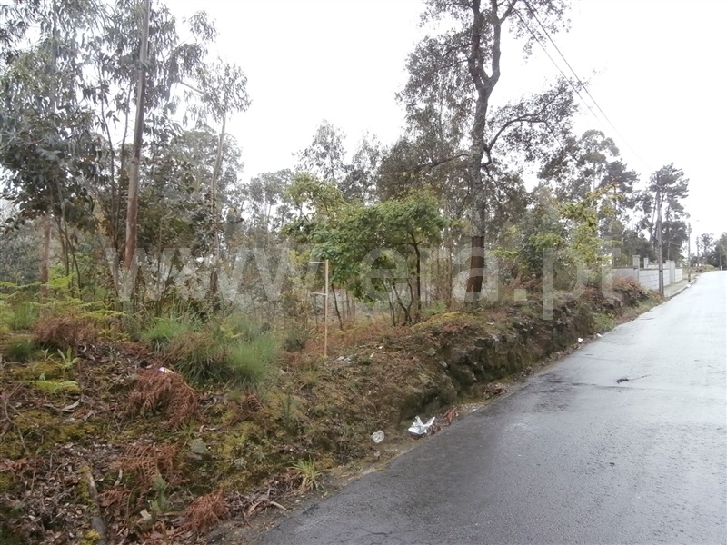 Terreno Misto  Santa Maria da Feira, Caldas S. Jorge / Guisande - 992720 - 4
