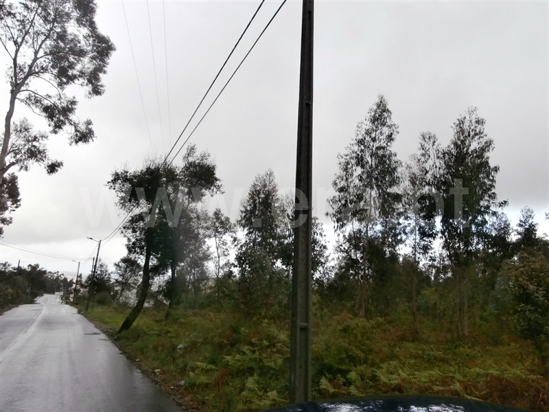 Terreno Misto  Santa Maria da Feira, Caldas S. Jorge / Guisande - 992720 - 6