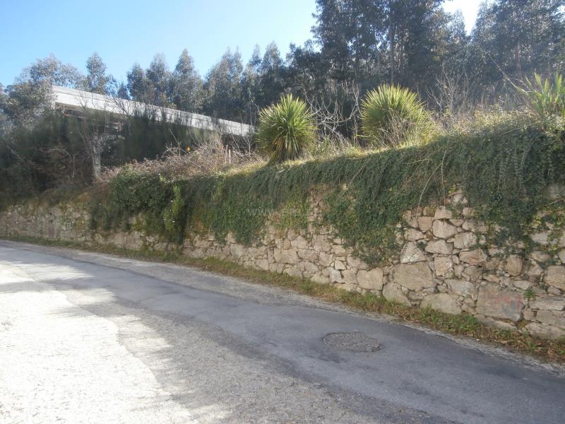 Terreno Misto / Santa Maria da Feira, Romariz /Milheirós de Poiares e Pigeiros