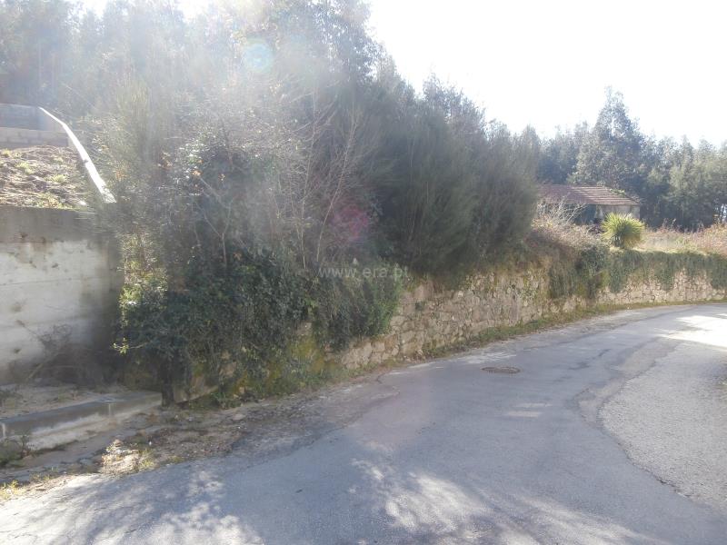 Terreno Misto  Santa Maria da Feira, Romariz /Milheirós de Poiares e Pigeiros - 160906 - 4