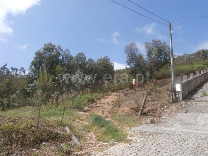 Terreno Misto / Santa Maria da Feira, Romariz /Milheirós de Poiares e Pigeiros