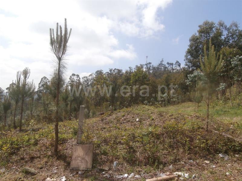 Terreno Misto  Santa Maria da Feira, Romariz /Milheirós de Poiares e Pigeiros - 735502 - 2