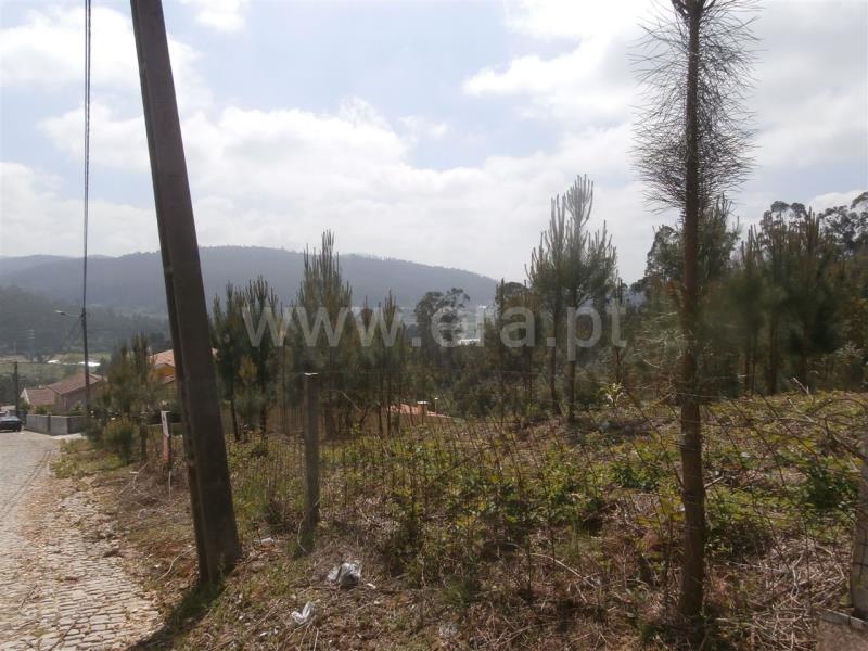 Terreno Misto  Santa Maria da Feira, Romariz /Milheirós de Poiares e Pigeiros - 735502 - 3