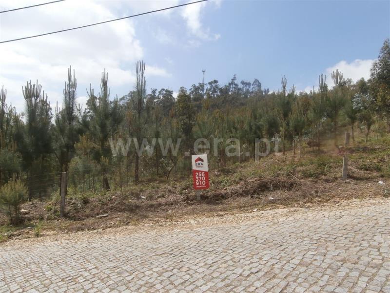 Terreno Misto  Santa Maria da Feira, Romariz /Milheirós de Poiares e Pigeiros - 735502 - 5