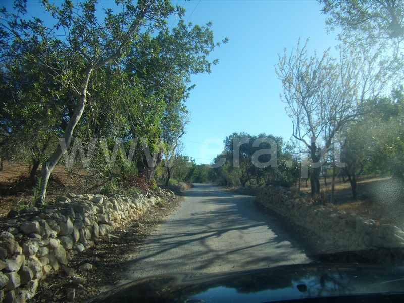 Terreno Misto  com Urbano Silves, Algoz e Tunes - 1366069 - 1