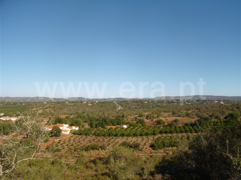 Terreno Misto / Silves, Tunes
