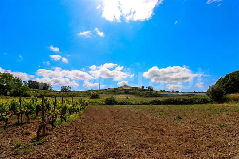 Terreno Misto / Sobral de Monte Agraço, Santo Quintino