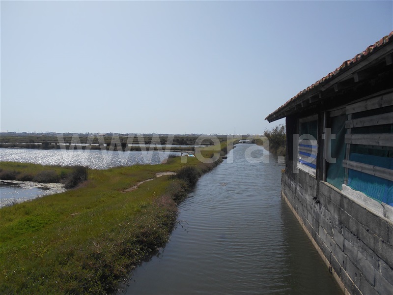 Terreno Misto T1 / Figueira da Foz, São Pedro