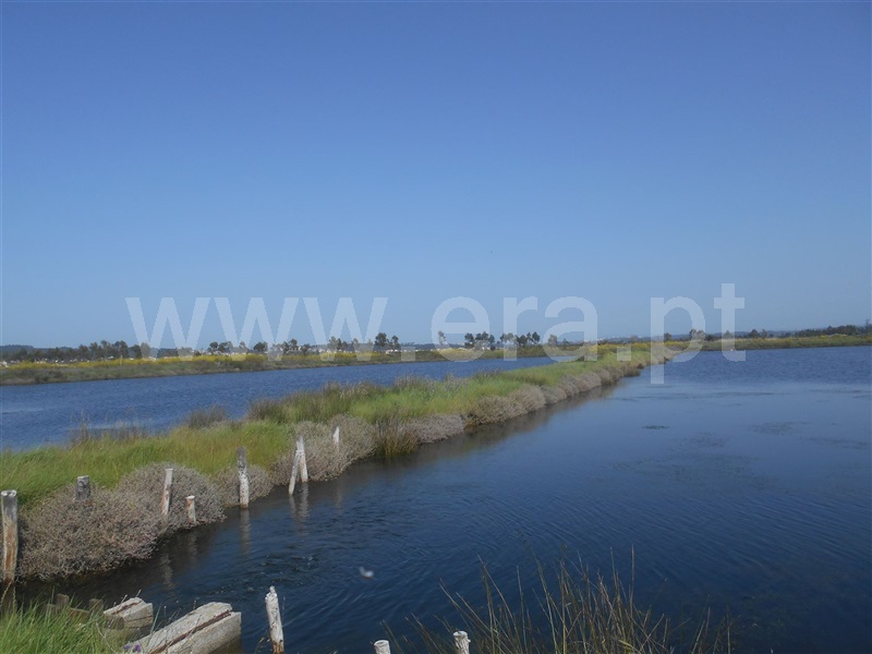 Terreno Misto T1 Figueira da Foz, São Pedro - 1003995 - 3